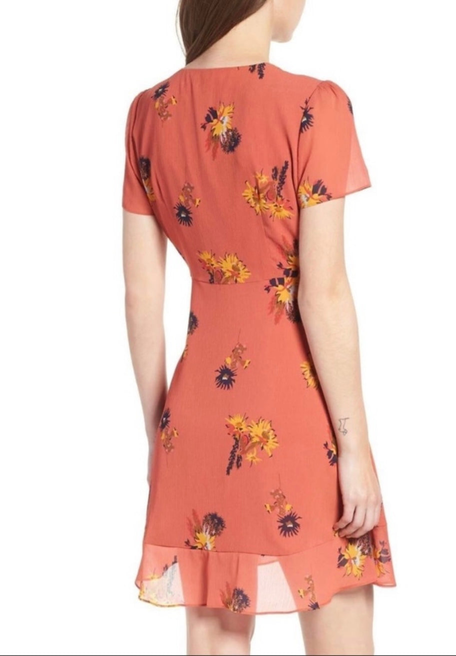 Madewell "Posey Cactus Flower Dress" (Size 8)