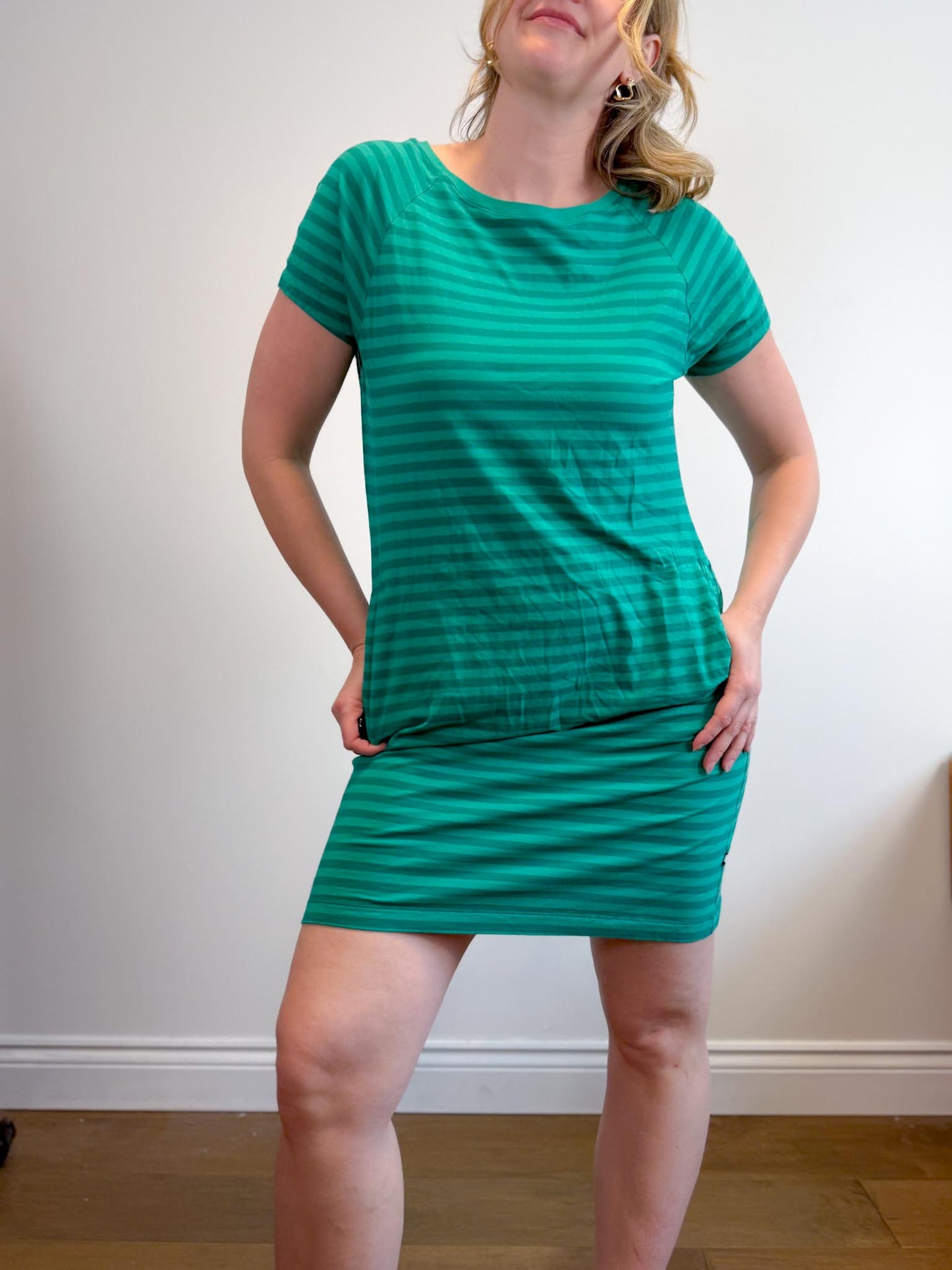 Kit & Ace Pima Cotton Striped T-Shirt Dress in Green (Size M)