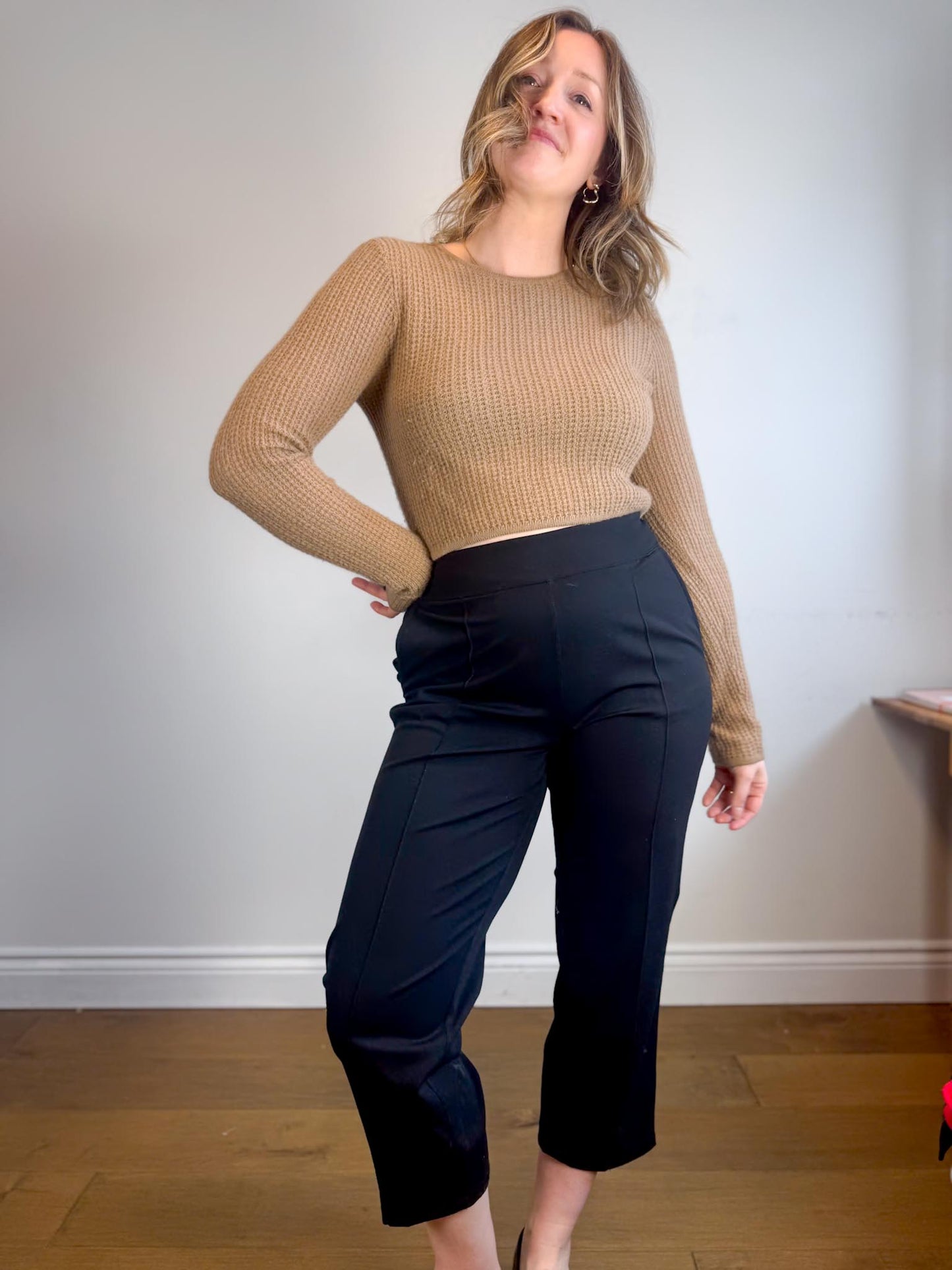 Kit & Ace High Rise Cropped Pants in Black (Size 12)