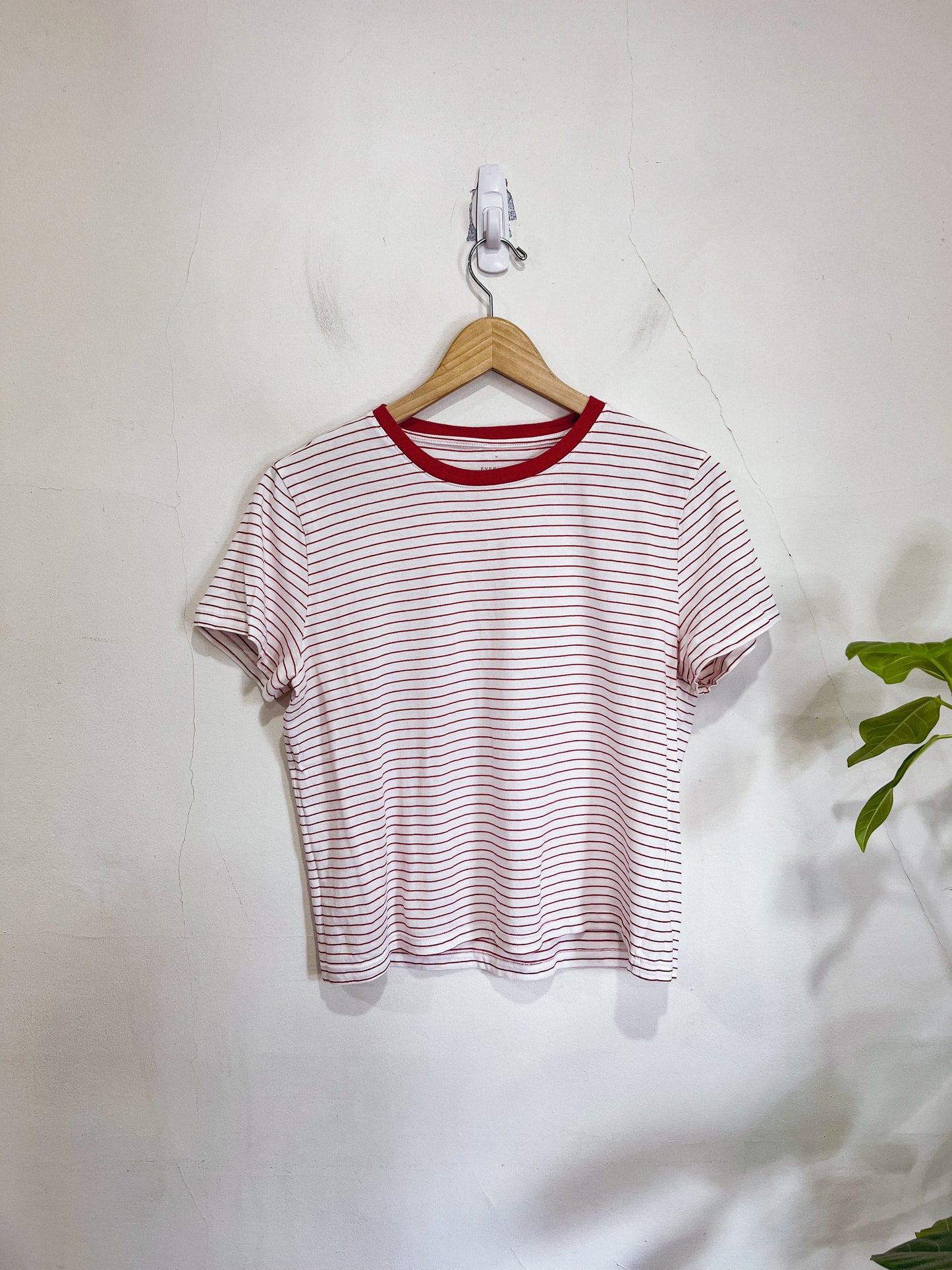 Everlane Striped T-Shirt in Red/White (Size M)