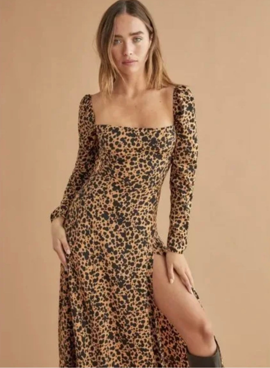 Reformation "Sigmund Dress in Leopard Print" (Size 4P)