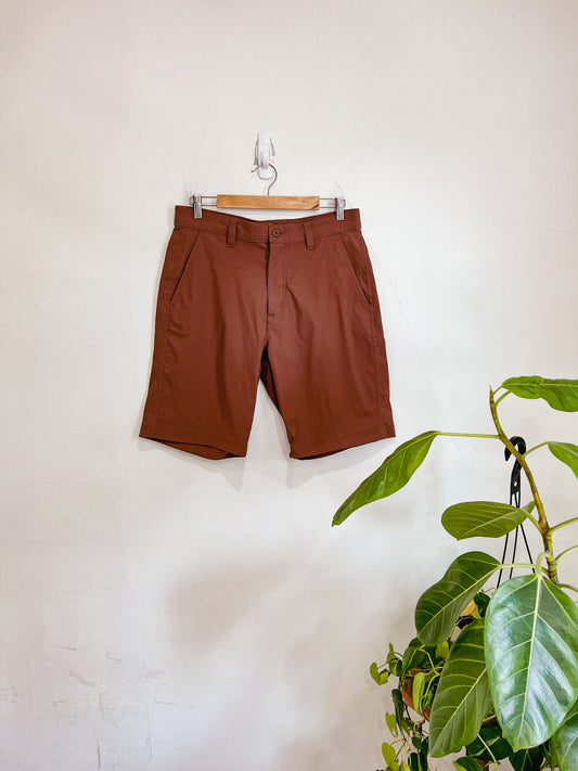 Eddie Bauer Brown Shorts (Size 32)