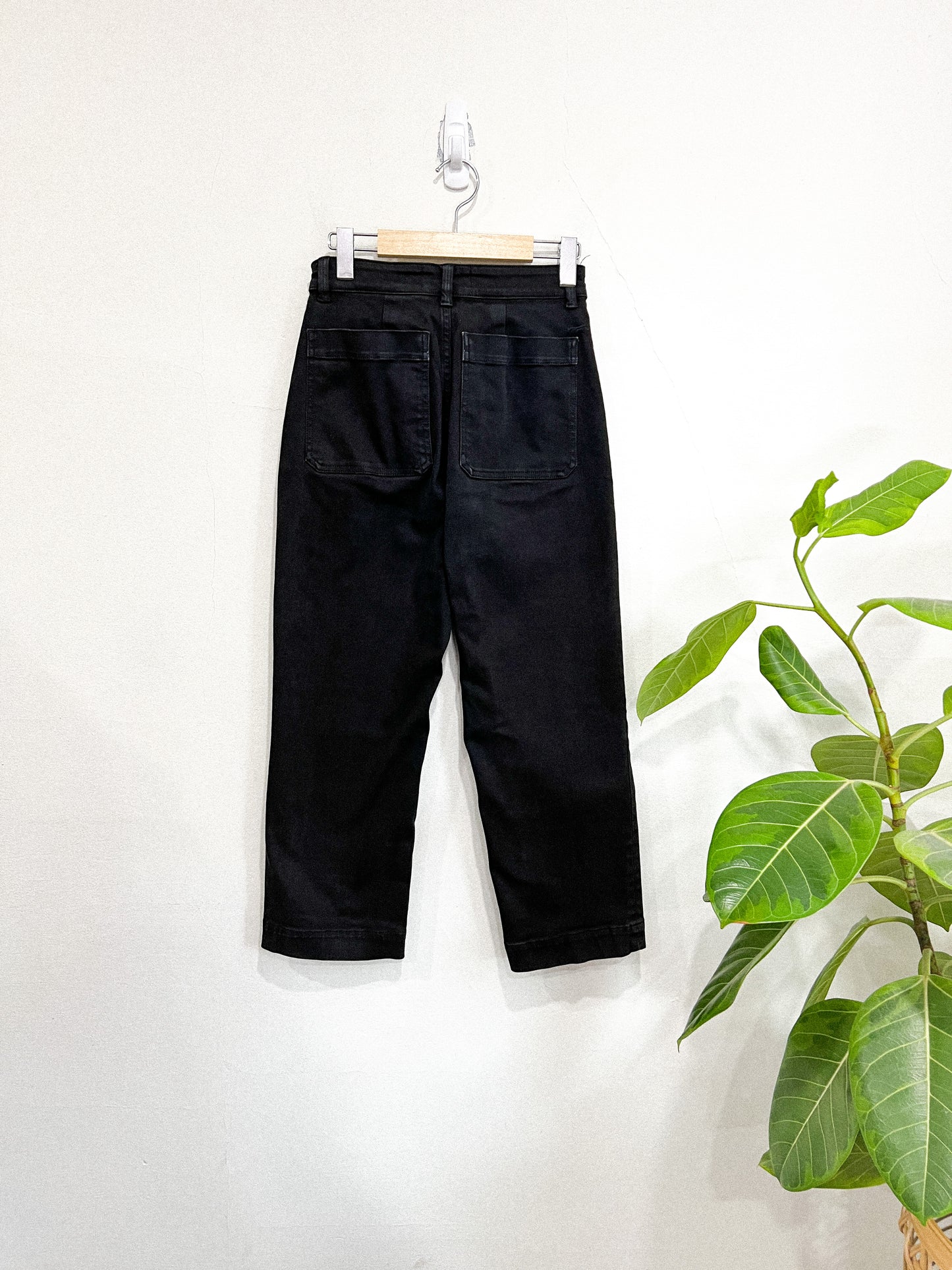 Everlane Black "The Straight-Leg Crop" Pants (Size 2)