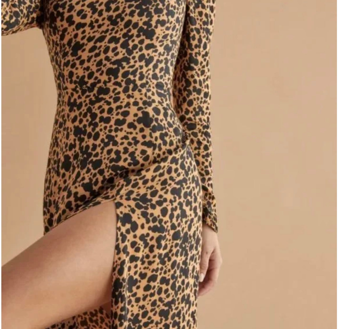 Reformation "Sigmund Dress in Leopard Print" (Size 4P)