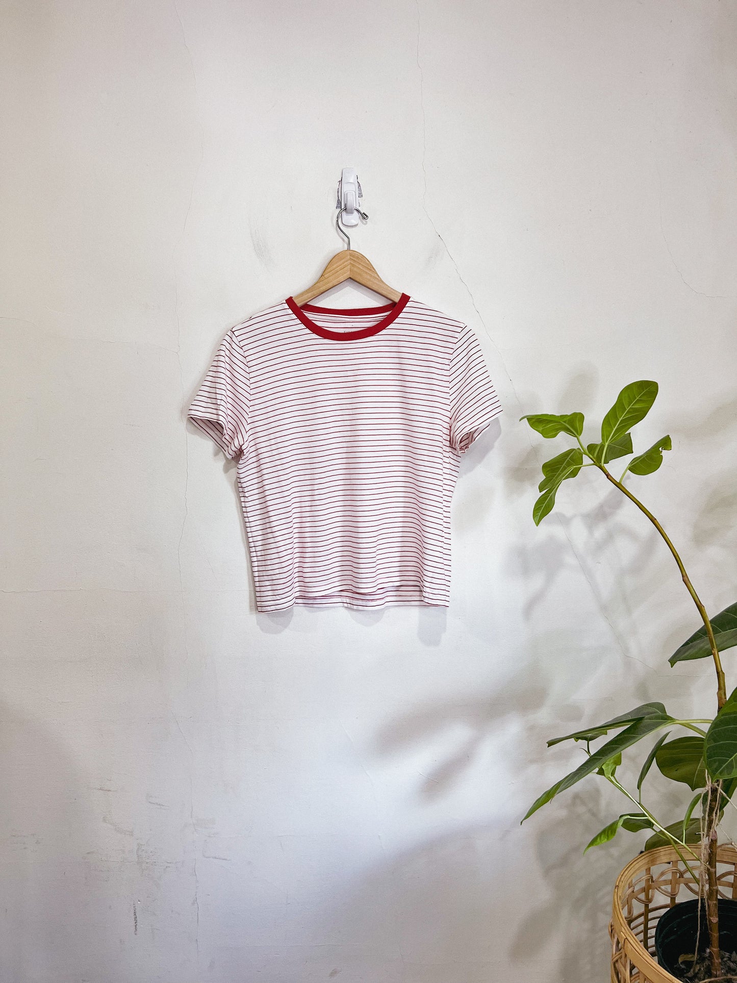 Everlane Striped T-Shirt in Red/White (Size M)