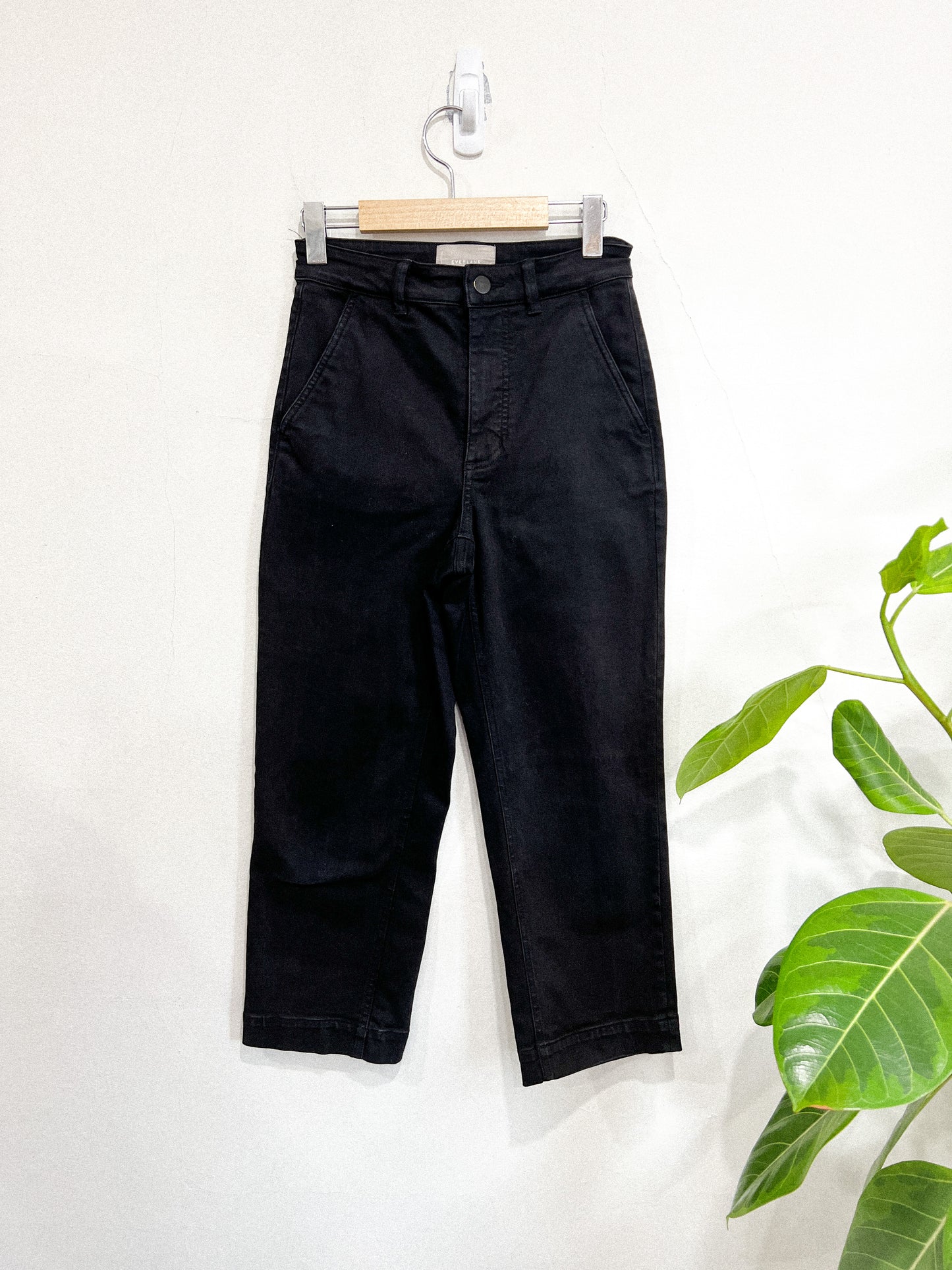 Everlane Black "The Straight-Leg Crop" Pants (Size 2)