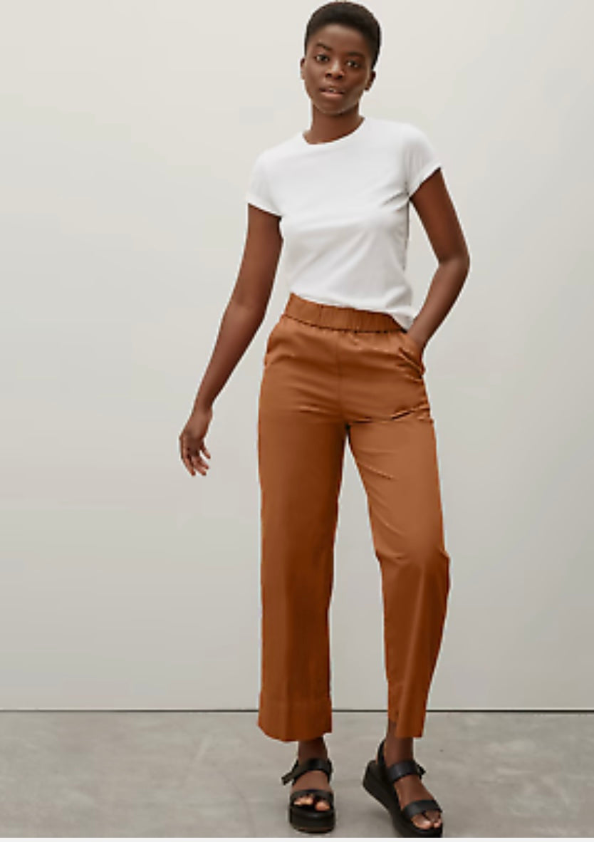 Everlane "The Easy Pant" in Rust (Size 4)