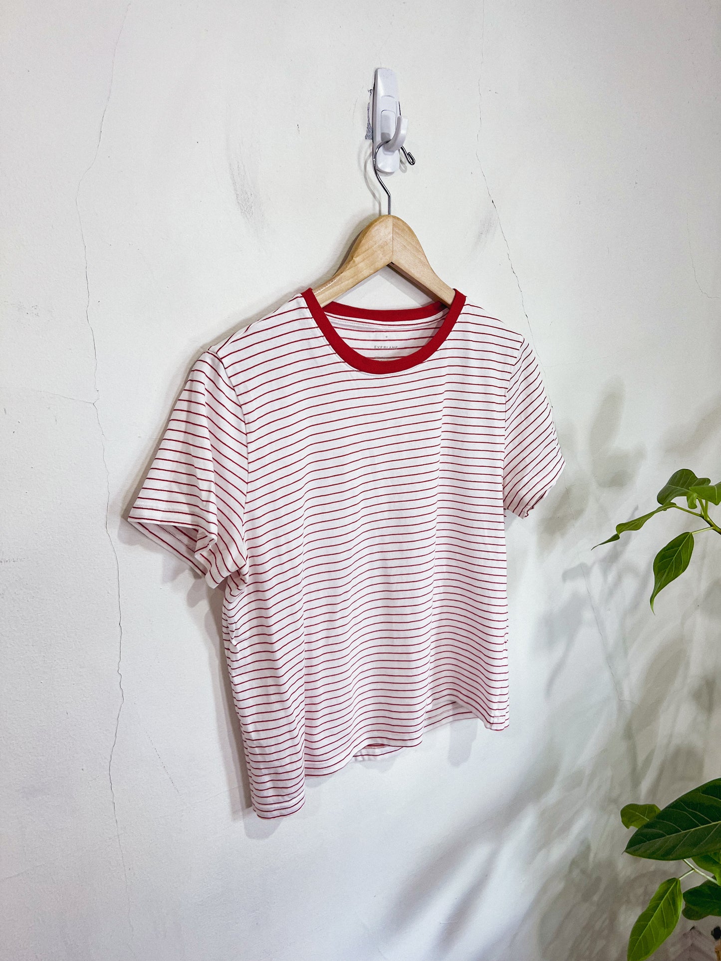 Everlane Striped T-Shirt in Red/White (Size M)