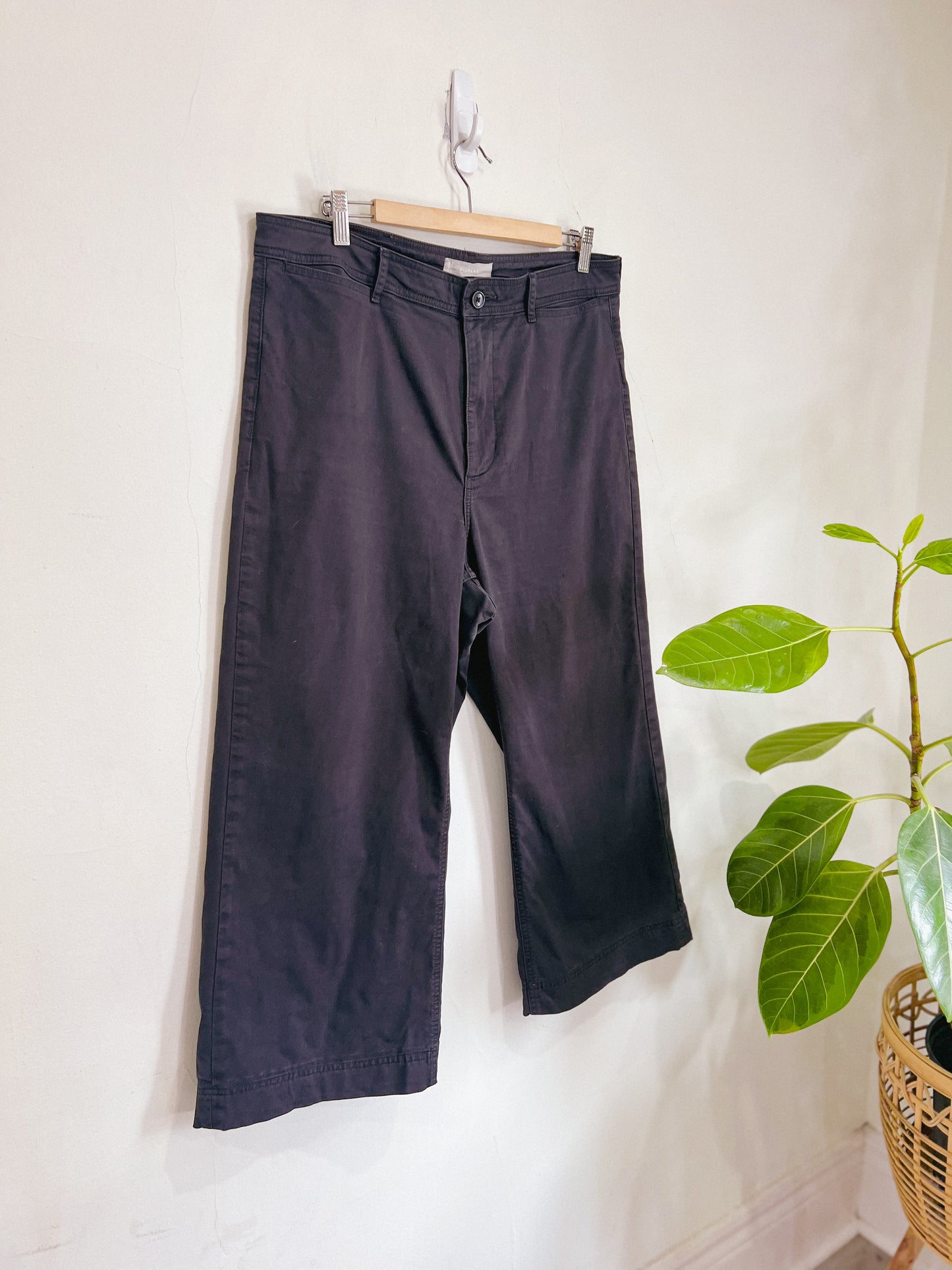 Everlane Black Wide Leg Pants (Size 14)