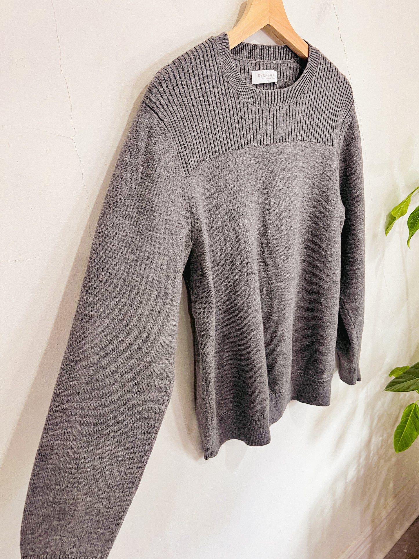 Everlane Grey Wool Crewneck Sweater (Size L)