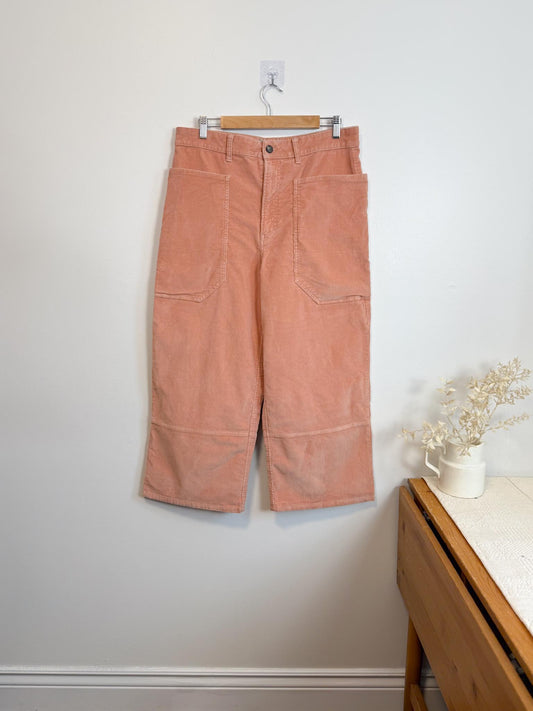 Everlane " The Corduroy Gardner Pant in Coral" (Size 14)