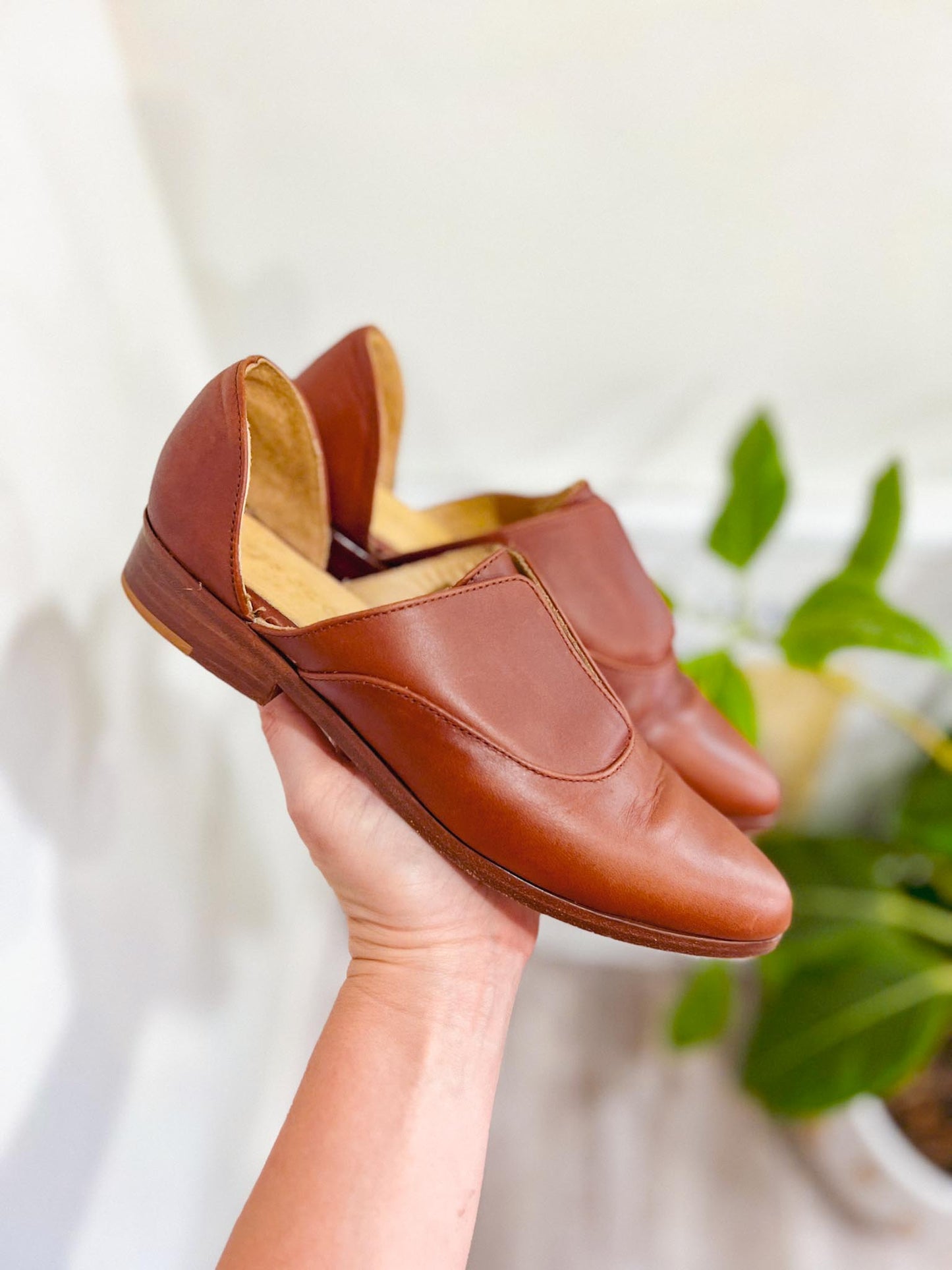 Nisolo Sustainable "Emma d'Orsay Oxford" Loafers in Brown Leather (Size 6)