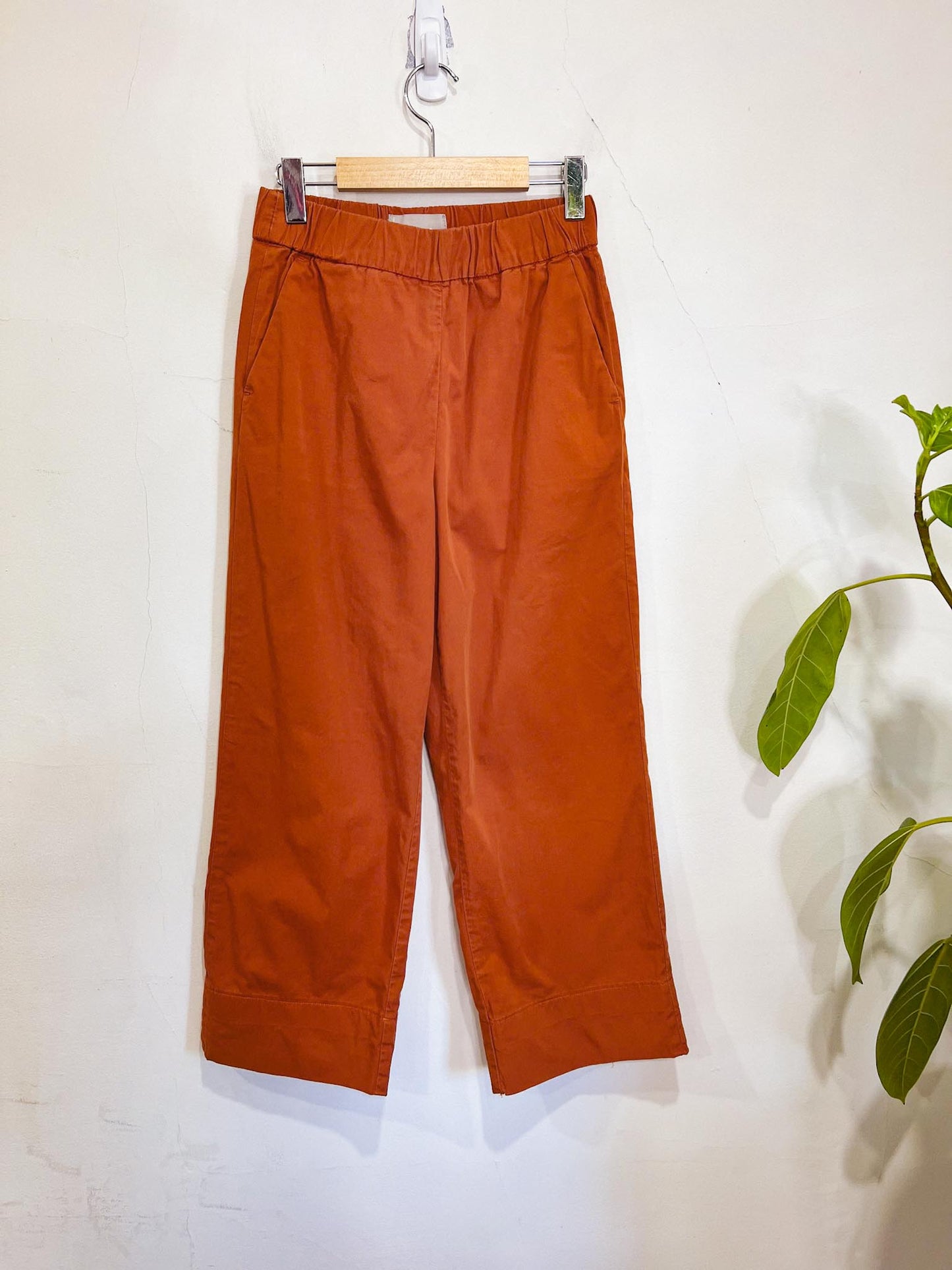 Everlane "The Easy Pant" in Rust (Size 4)