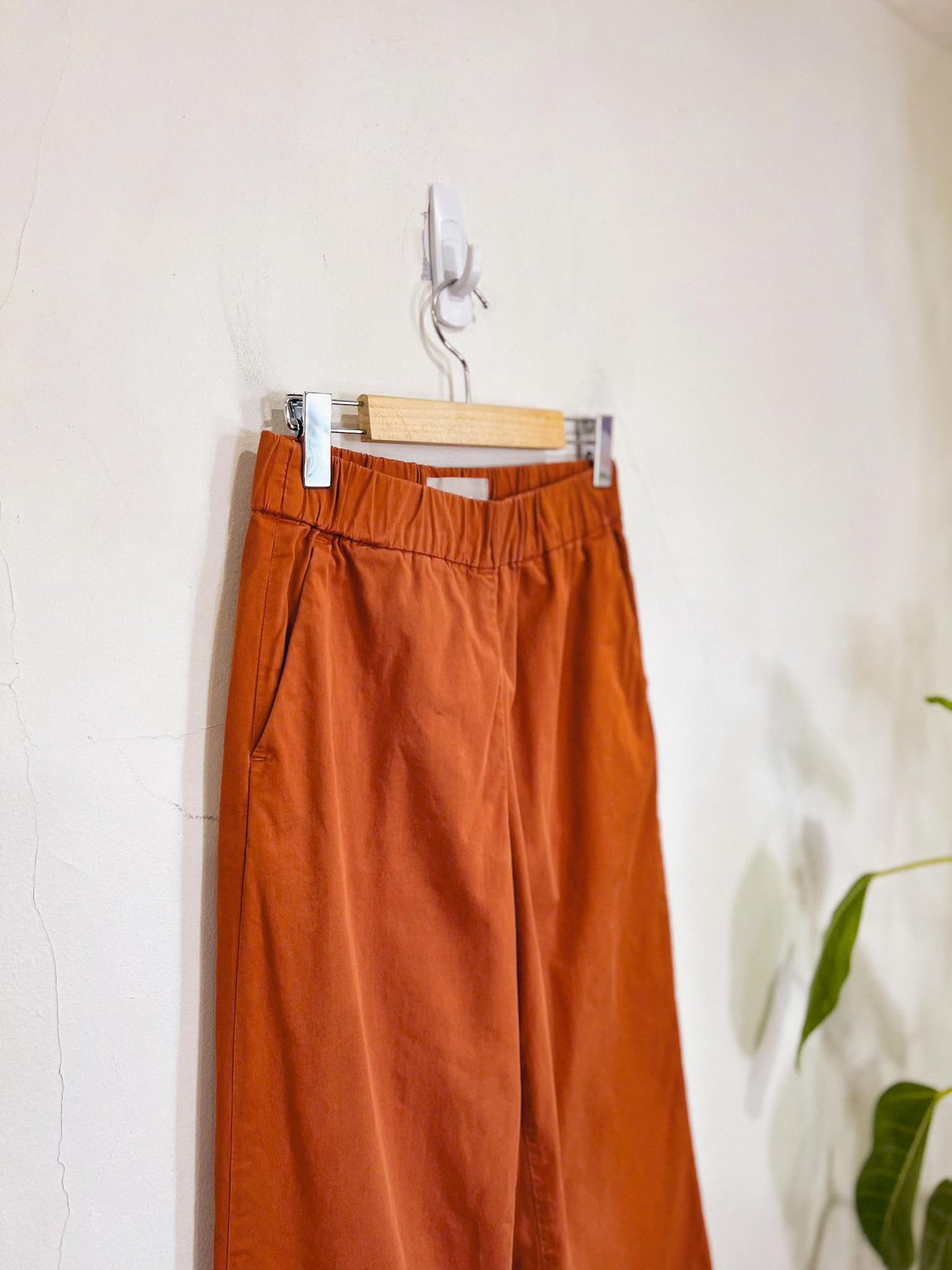 Everlane "The Easy Pant" in Rust (Size 4)