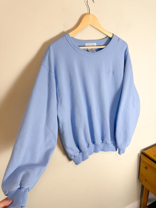 Vintage Northern Reflections Crewneck in Baby Blue (Size M)
