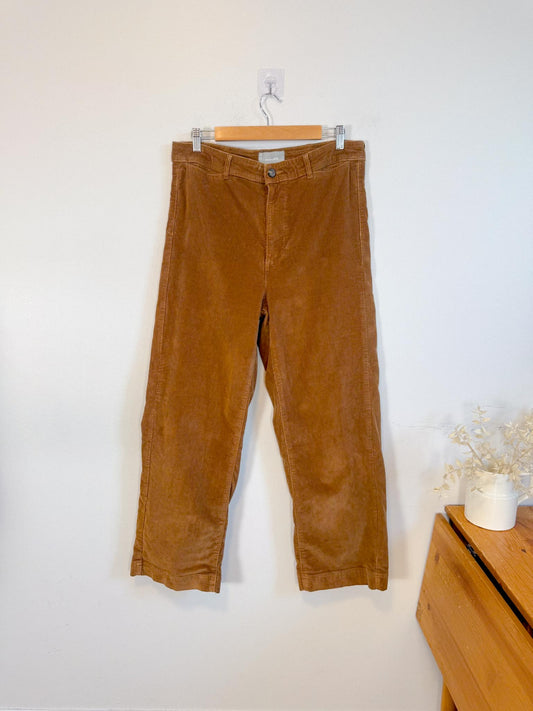 Everlane “THE SAILOR PANT IN CORDUROY in Toasted Coconut” (Size 14)