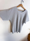 Issey Miyake Homme Plisse Designer Pleated T-Shirt in Grey (Size L)