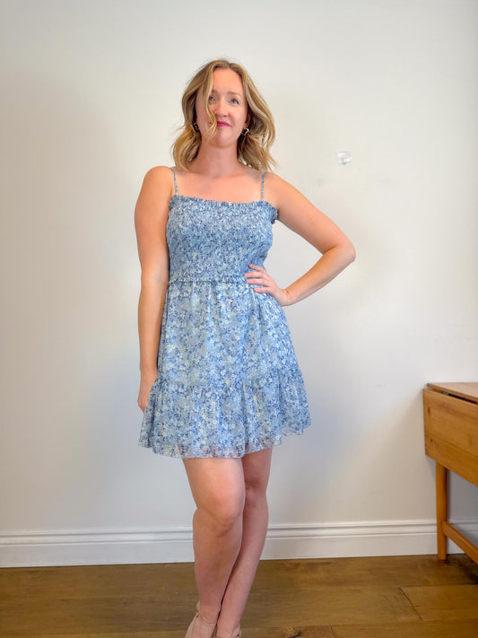 Wilfred "Tempest Sleeveless Mini Dress in Blue Floral" (Size XL)