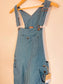 Patagonia "Women's All Seasons Bib Work Overalls in Tidal Teal" NWT (Size S)