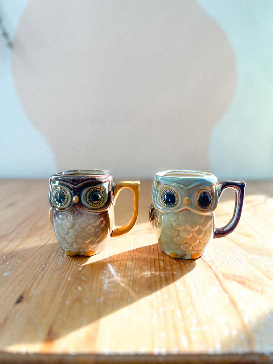 Vintage Nature's Owl Mugs - Set of Two