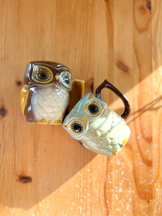 Vintage Nature's Owl Mugs - Set of Two