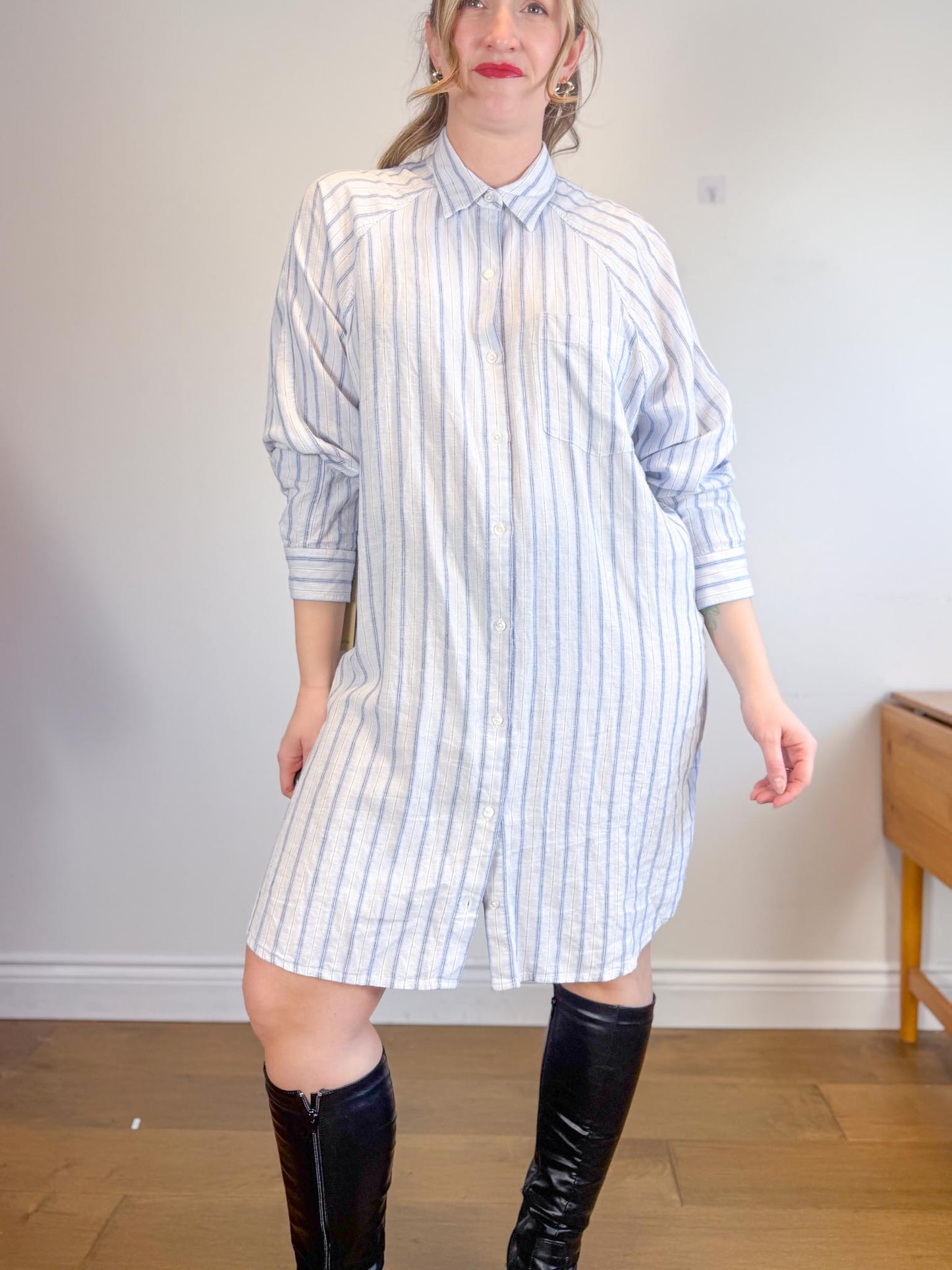 Wilfred Free "Boyfriend Linen Dress in Blue/White Stripe" NWT (Size L)